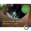 Digitale Akquisemotive - Google für Immobilienmakler, Motiv: Katze im Sack - hbtimmo.de