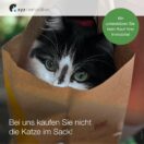 Digitale Akquisemotive für Immobilienmakler - Motiv: Katze im Sack - hbtimmo.de